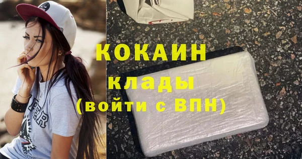 тгк Козельск