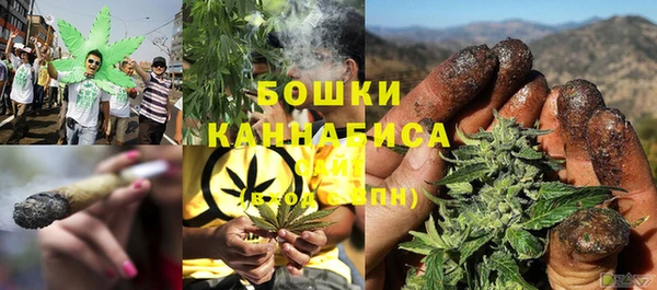 прущие грибы Кодинск