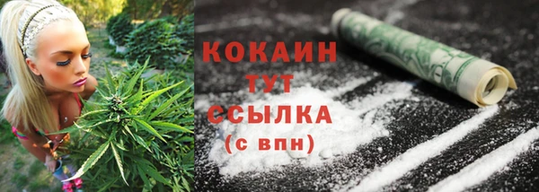 прущие грибы Кодинск
