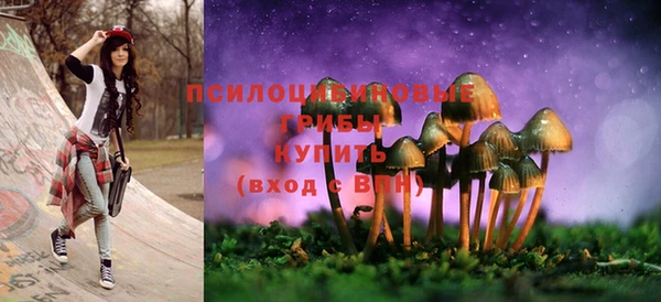 тгк Козельск