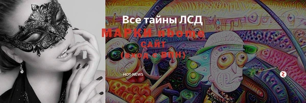 прущие грибы Кодинск