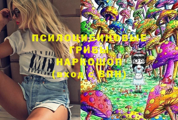 прущие грибы Кодинск