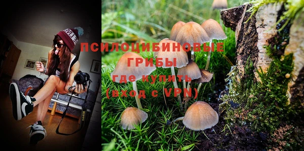 прущие грибы Кодинск