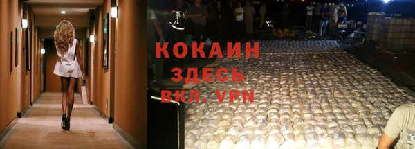 тгк Козельск