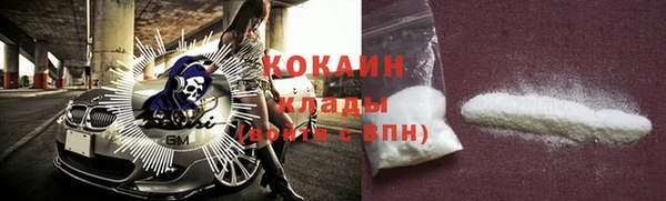прущие грибы Кодинск