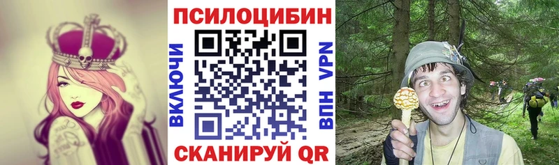 Псилоцибиновые грибы Psilocybe  Новомосковск 