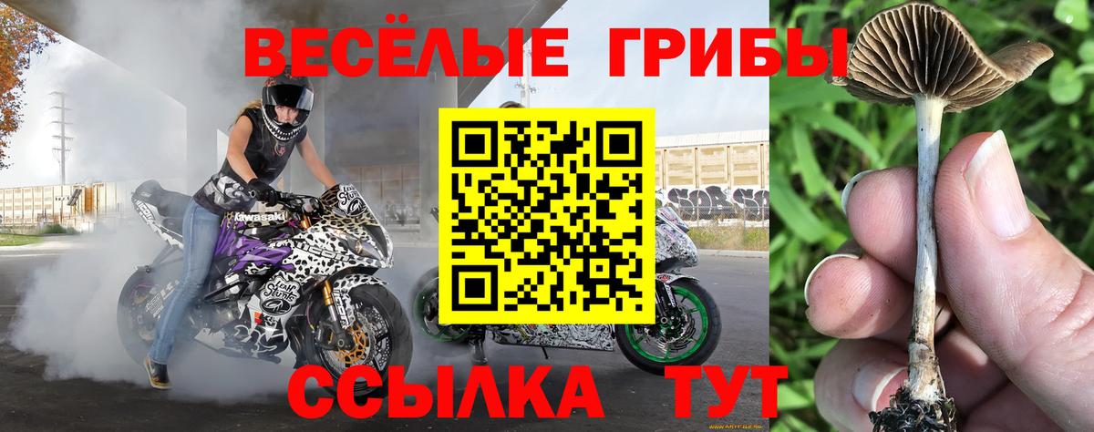 Галлюциногенные грибы Magic Shrooms  Новомосковск 