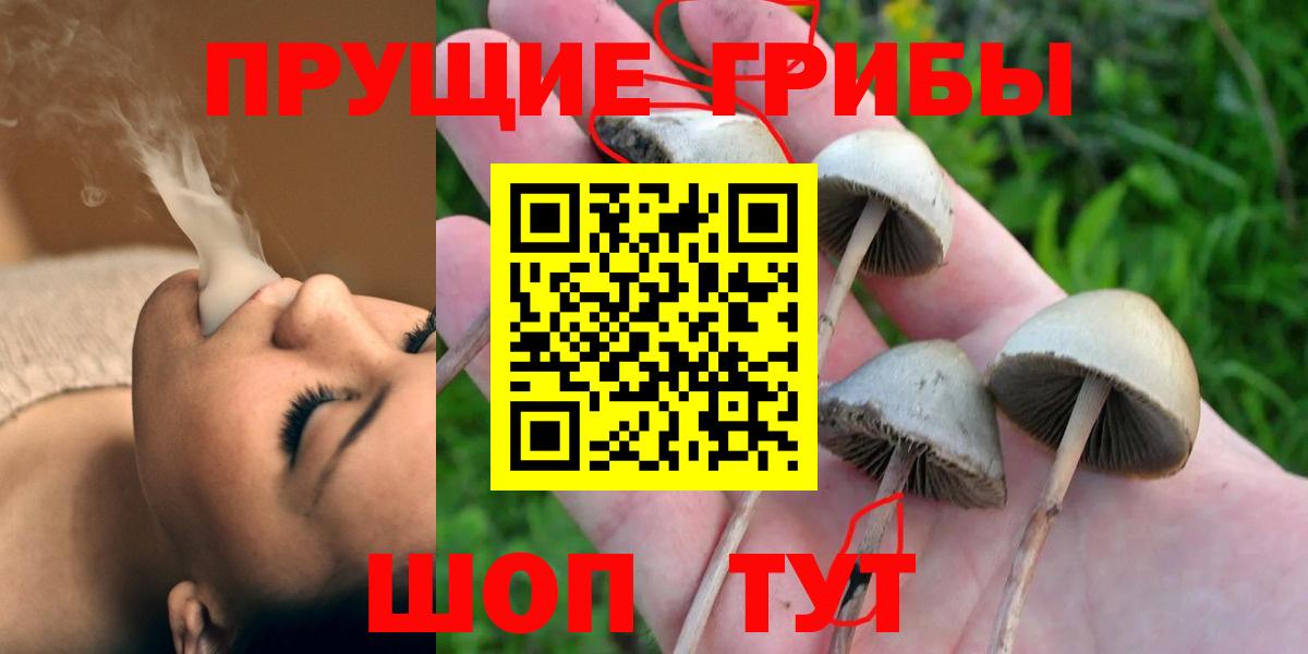 Новомосковск  Псилоцибиновые грибы MAGIC MUSHROOMS  Псилоцибиновые грибы Psilocybine cubensis  Вход с VPN 